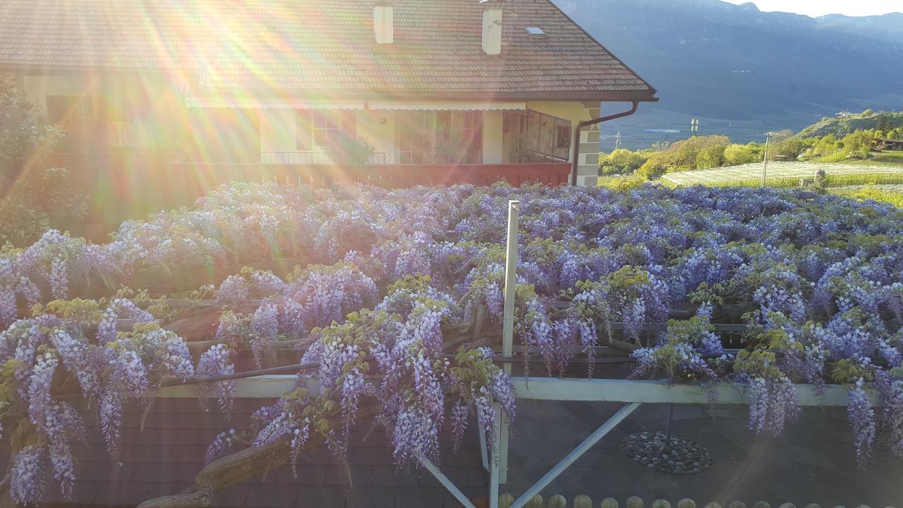 Residence Hof Am Keller モンターニャ エクステリア 写真